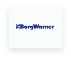 Borg Wanner